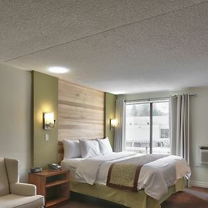 One King Bed